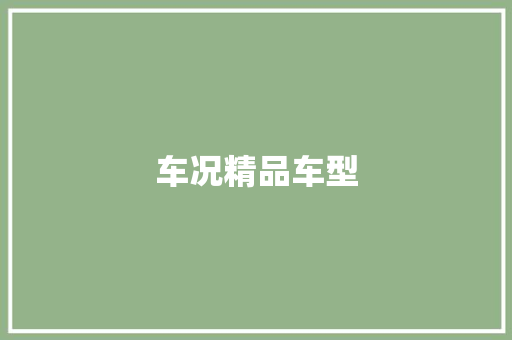 车况精品车型