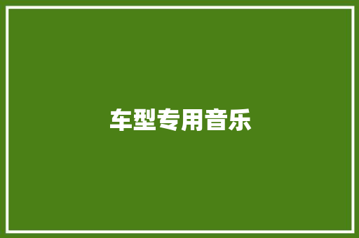 车型专用音乐 底盘配件