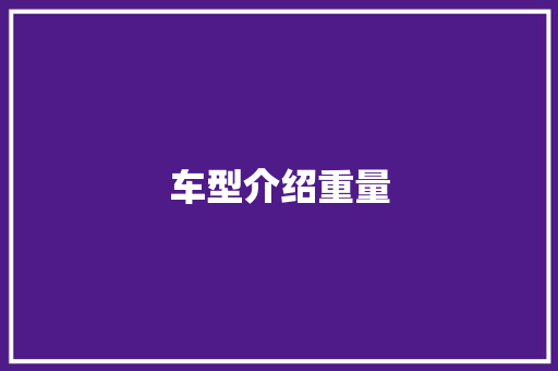 车型介绍重量