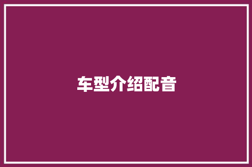 车型介绍配音
