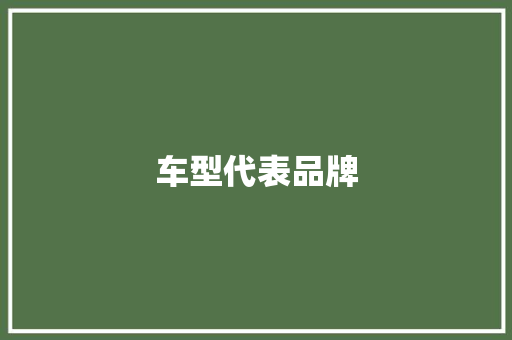 车型代表品牌