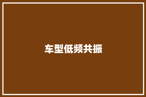 车型低频共振