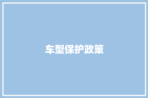 车型保护政策