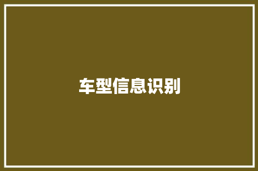车型信息识别