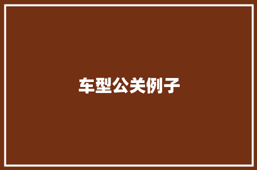 车型公关例子