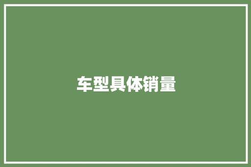 车型具体销量