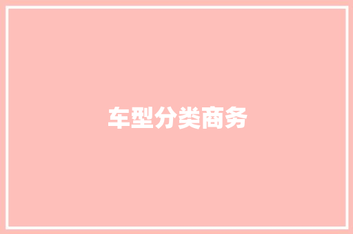 车型分类商务