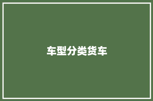 车型分类货车
