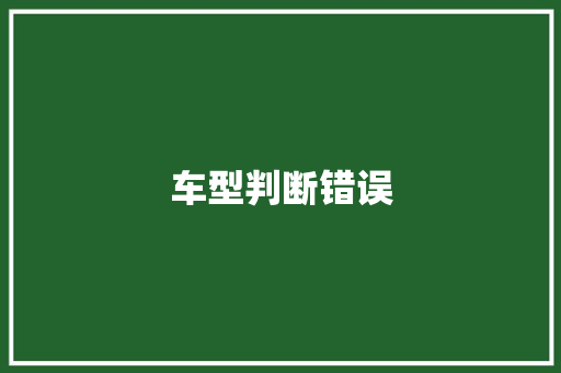 车型判断错误
