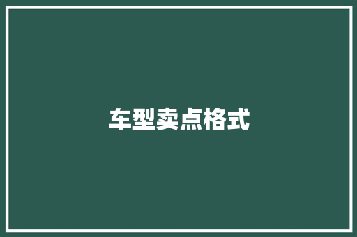 车型卖点格式