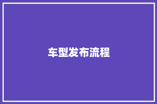 车型发布流程