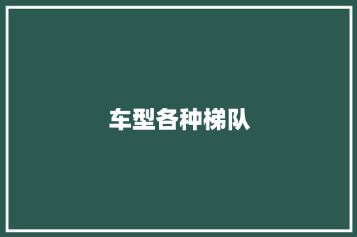 车型各种梯队