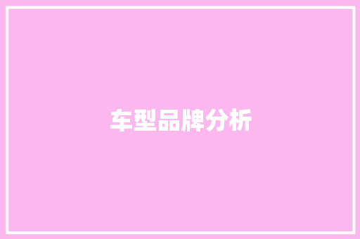 车型品牌分析