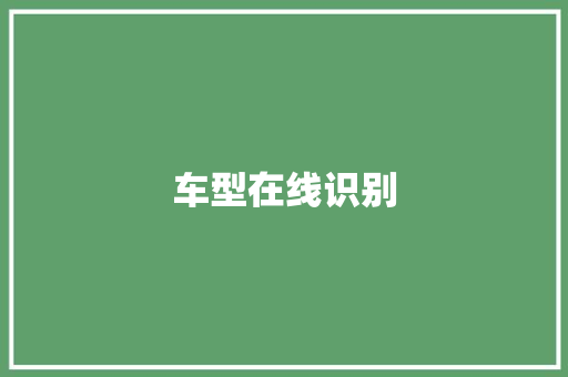 车型在线识别