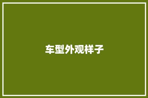 车型外观样子