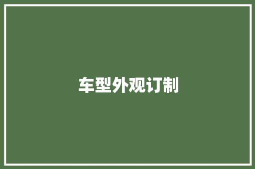 车型外观订制
