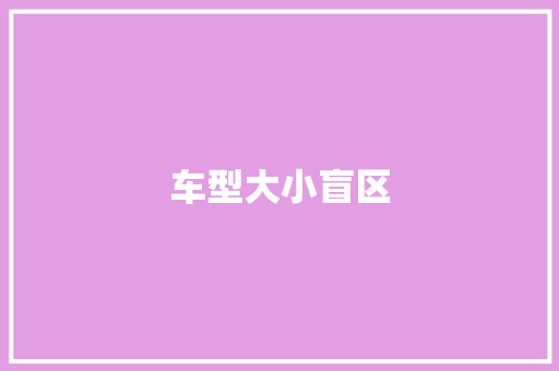 车型大小盲区