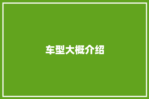 车型大概介绍