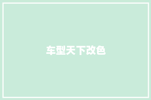 车型天下改色