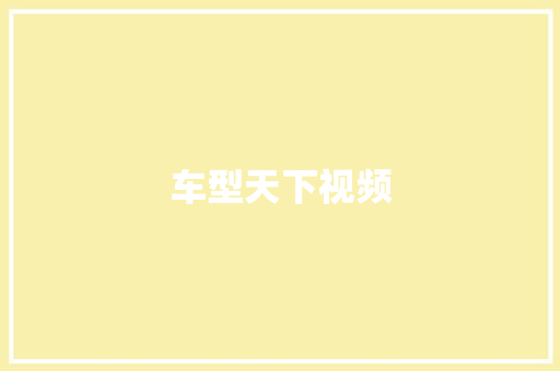 车型天下视频