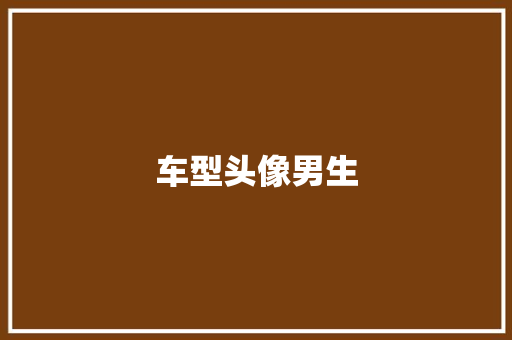 车型头像男生