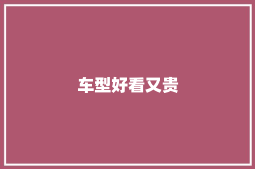 车型好看又贵
