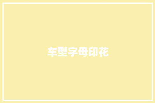 车型字母印花