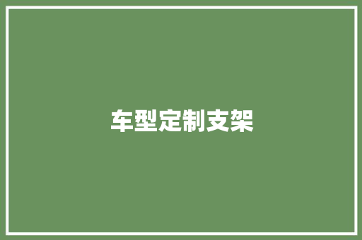 车型定制支架