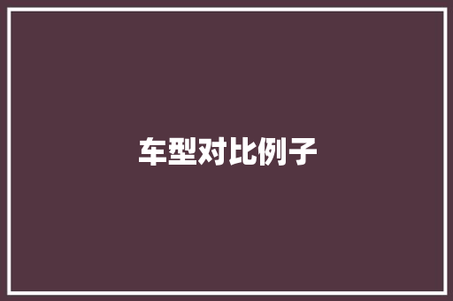 车型对比例子