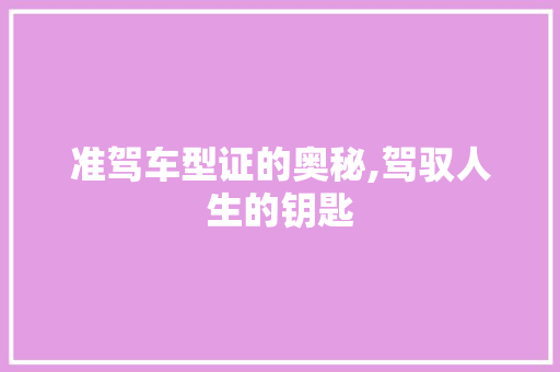 准驾车型证的奥秘,驾驭人生的钥匙