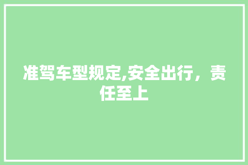准驾车型规定,安全出行，责任至上