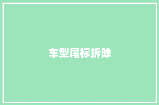车型尾标拆除