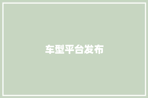 车型平台发布