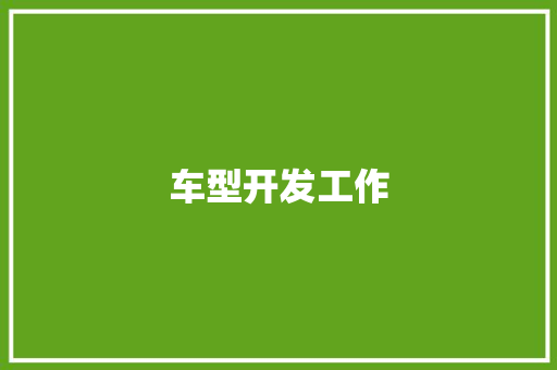 车型开发工作