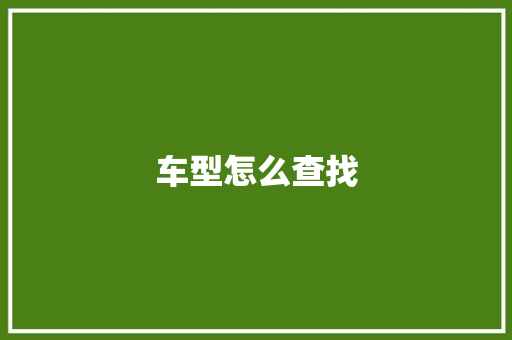 车型怎么查找