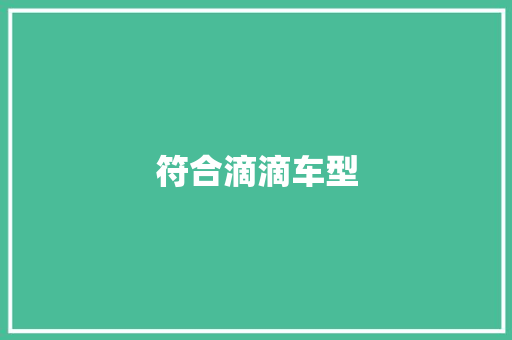 符合滴滴车型