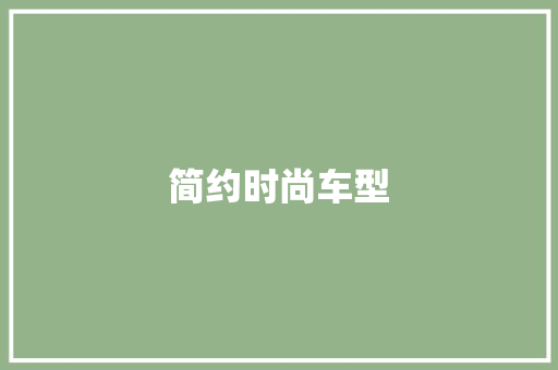 简约时尚车型
