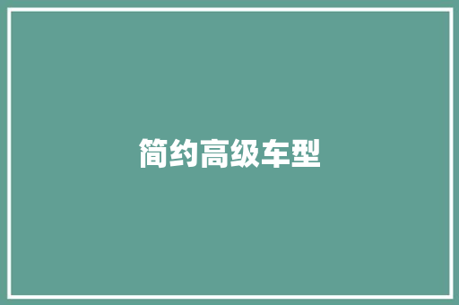 简约高级车型