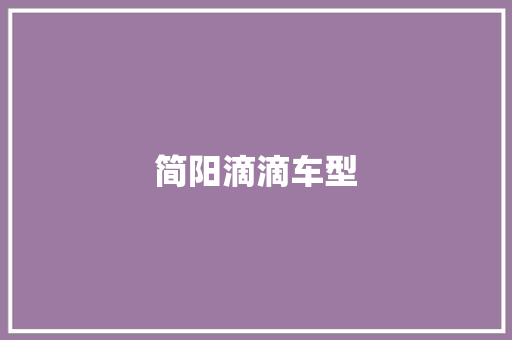 简阳滴滴车型