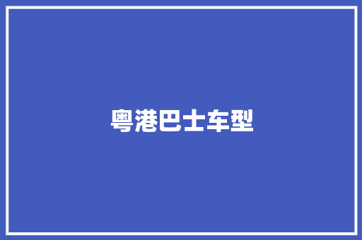 粤港巴士车型