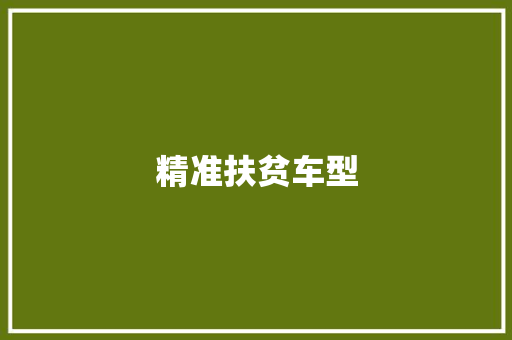 精准扶贫车型