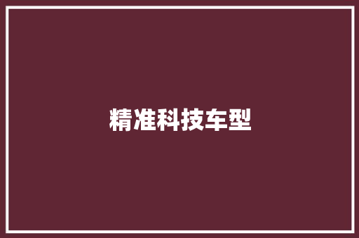 精准科技车型