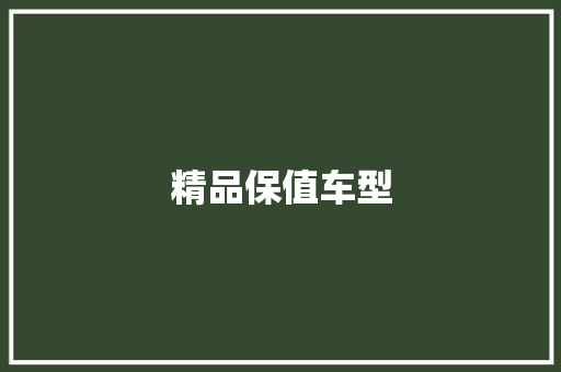 精品保值车型