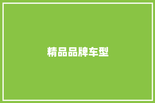 精品品牌车型