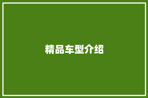 精品车型介绍