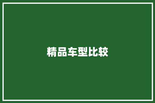 精品车型比较