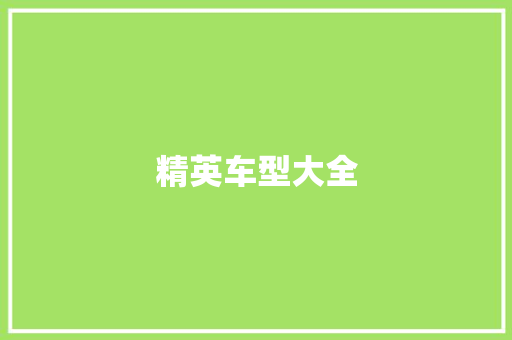 精英车型大全