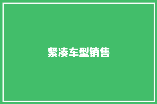 紧凑车型销售