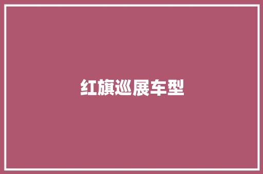 红旗巡展车型