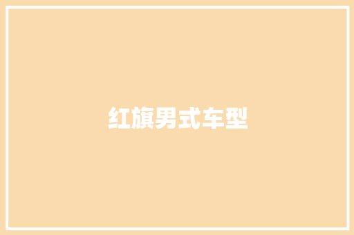 红旗男式车型 蓄电池配件